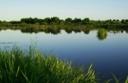 Курская область в десятке лучших по экологии