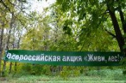 В Курской области проходит акция «Живи, лес!»
