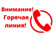 В Железногорске работает «горячая линия» по труду и занятости населения Курской области и Администрации города Железногорска