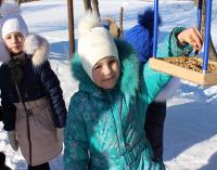 Железногорские школьники принимают участие к акции «Покормите птиц зимой»