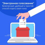 Начался прием заявлений избирателей для голосования  по месту нахождения и для дистанционного электронного голосования
